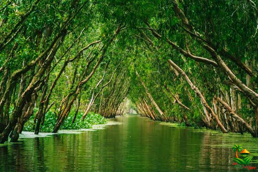 Cruise the Mekong Delta